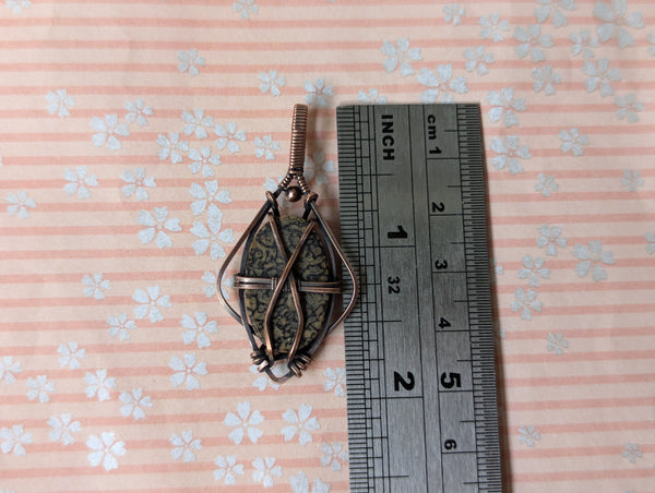 Dino Bone Fossil Wire Wrapped Pendant in Oxidized Copper