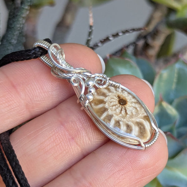 Ammonite Fossil Wire Wrapped Pendant in Sterling Silver