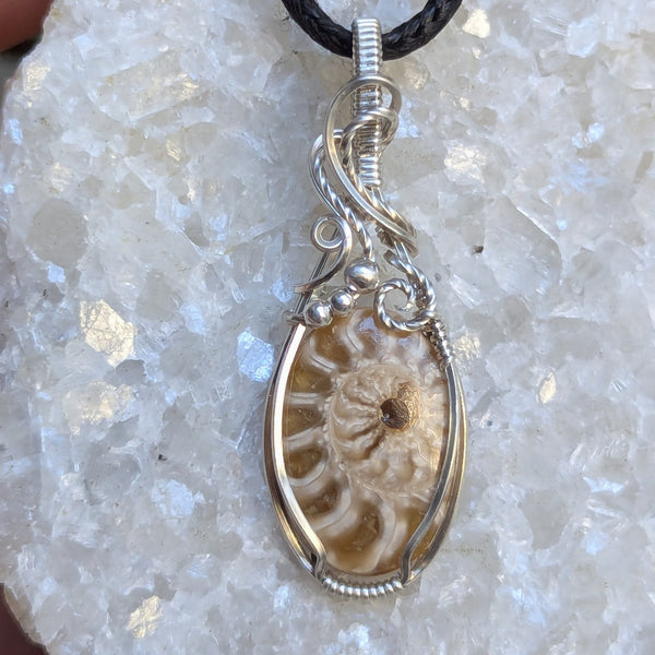 Ammonite Fossil Wire Wrapped Pendant in Sterling Silver