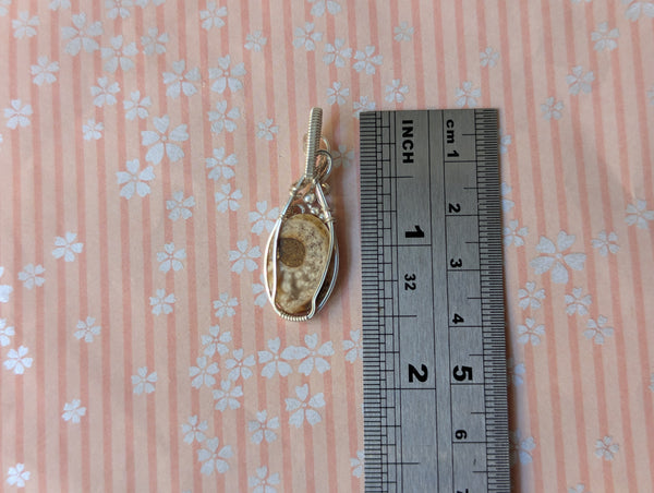 Ammonite Fossil Wire Wrapped Pendant in Sterling Silver