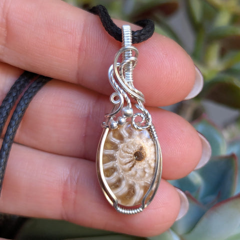 Ammonite Fossil Wire Wrapped Pendant in Sterling Silver