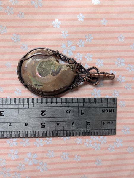 Ammonite Fossil Wire Wrapped Oxidized Copper Pendant