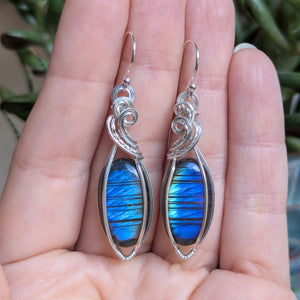 Labradorite Earrings in Sterling Silver