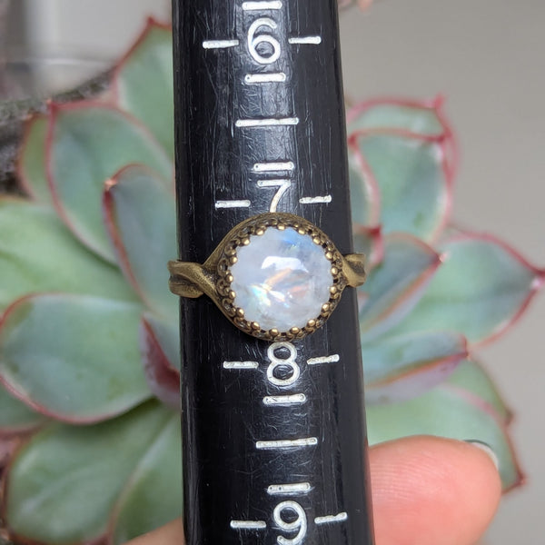 Rainbow Moonstone Size 7.5 Ring in Oxidized Brass