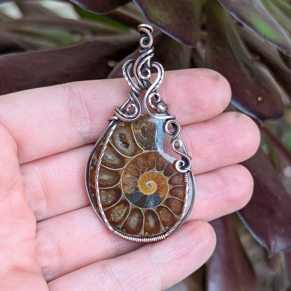 Ammonite Fossil Wire Wrapped Oxidized Copper Pendant
