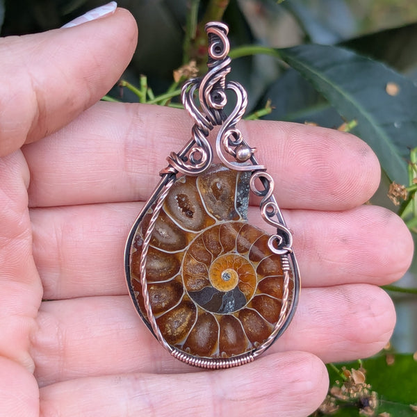 Ammonite Fossil Wire Wrapped Oxidized Copper Pendant